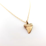Shark Tooth Gold Charm Necklace - Dainty 14k Gold Filled Jewelry
