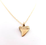 Gold Shark Tooth Necklace